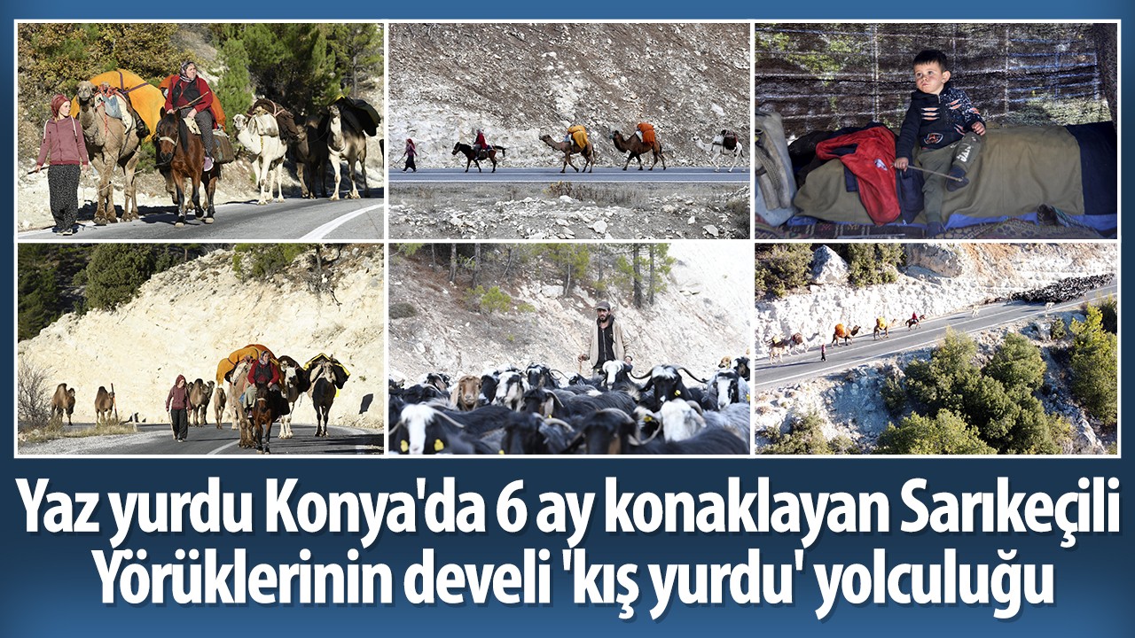 Yaz yurdu Konya'da 6 ay konaklayan Sarıkeçili Yörüklerinin develi 'kış yurdu' yolculuğu