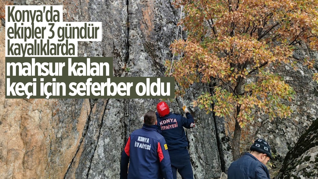 Konya'da ekipler 3 gündür kayalıklarda mahsur kalan keçi için seferber oldu
