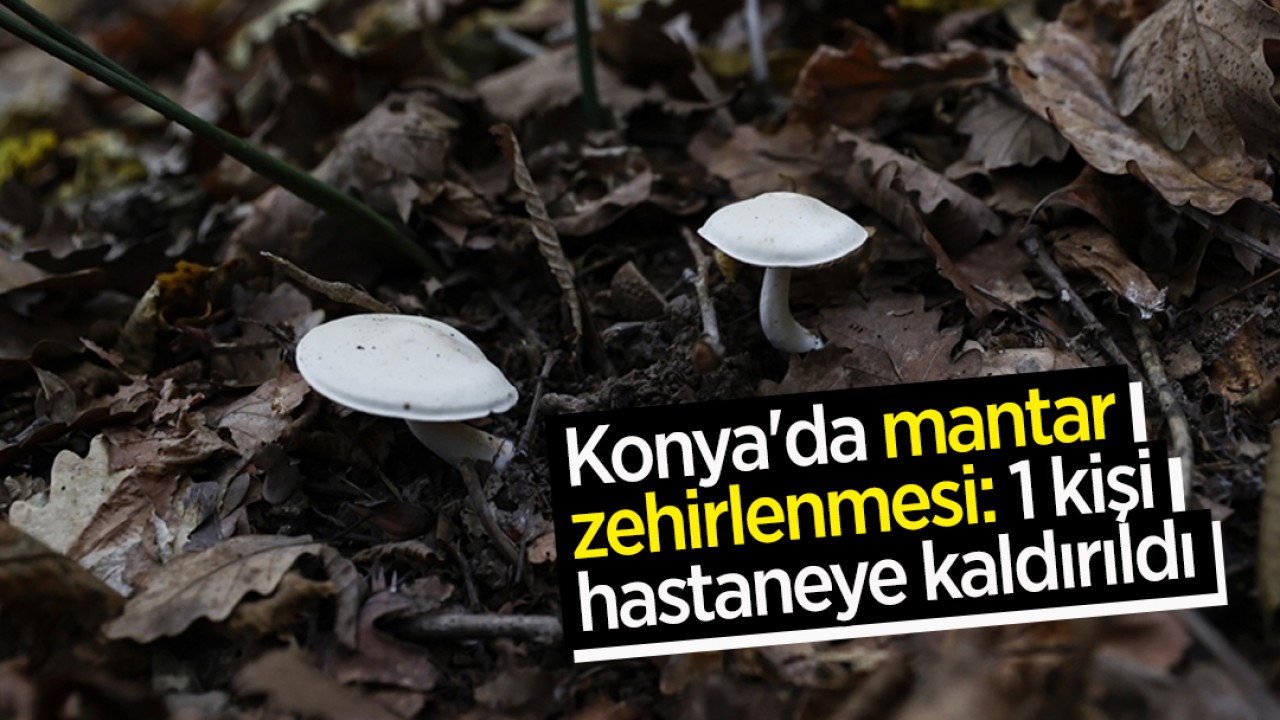 Konya'da mantar zehirlenmesi: 1 kişi hastaneye kaldırıldı