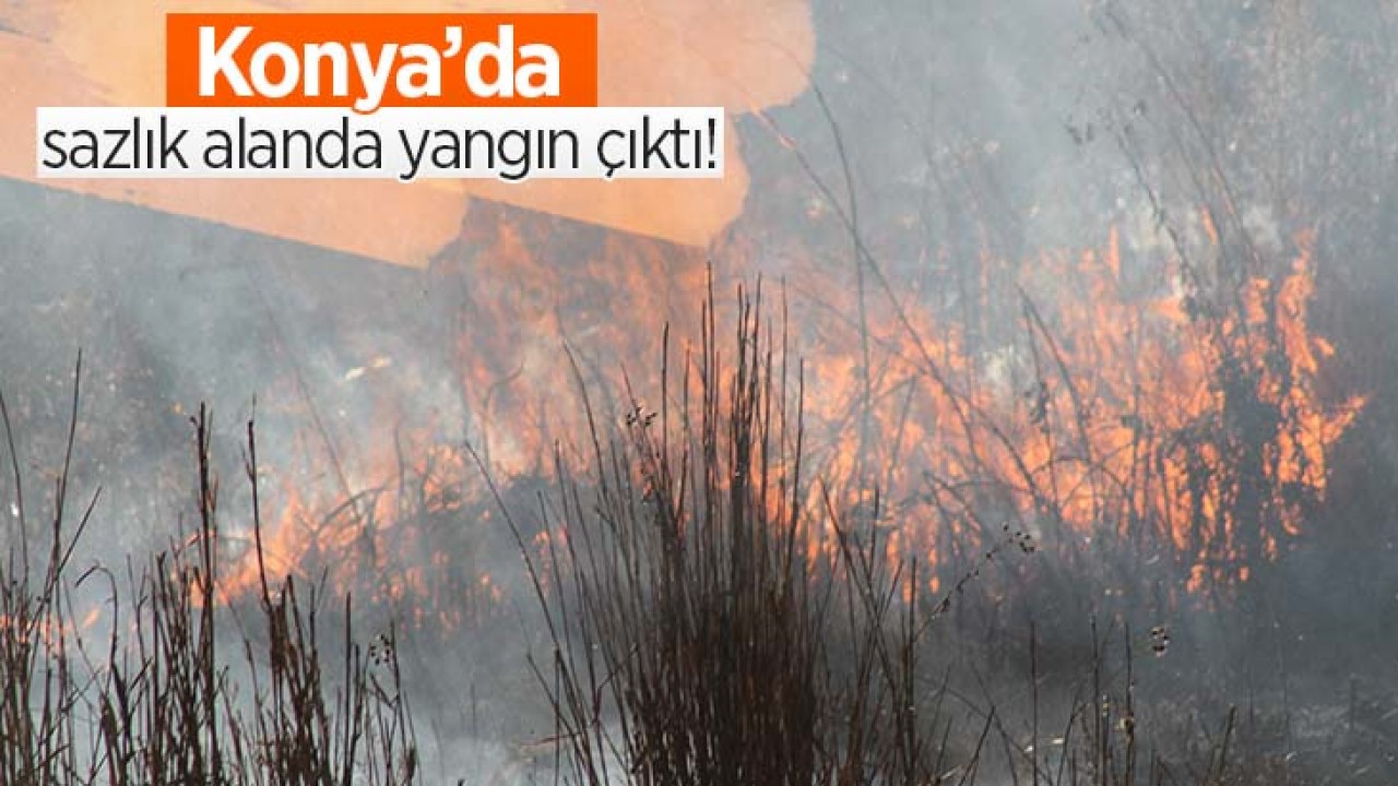 Konya’da sazlıkta yangın çıktı!
