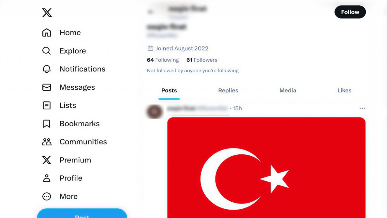 Terör propagandası yapan kadın, 1 ay boyunca Türk bayrağı paylaşacak