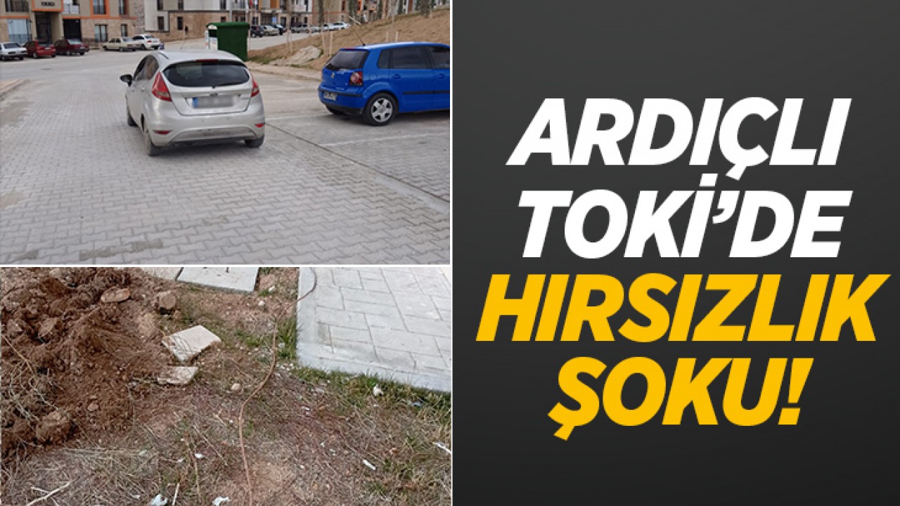 Konya Ardıçlı TOKİ'de hırsızlık şoku!