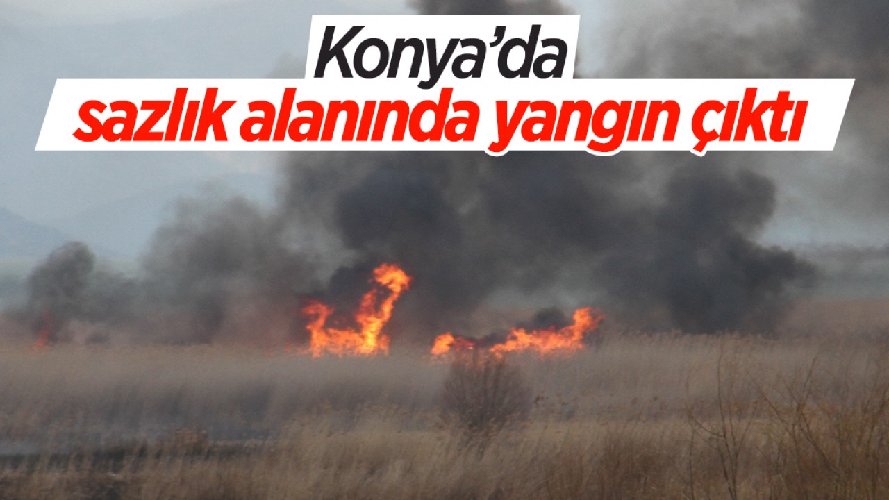 Konya’da sazlık alanda yangın paniği