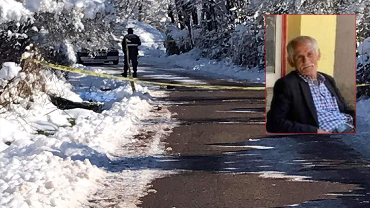 75 yaşındaki adam yol kenarında ölü bulundu: 'Soğuktan dondu' şüphesi üzerinde duruluyor!