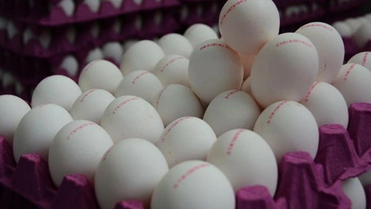 Konya’da bu market birçok üründe indirim yaptı! 30’lu L boy yumurta 79.95 TL, Çaykur Tiryaki 64.95 Tl ,tüm tavuk 57.99 TL