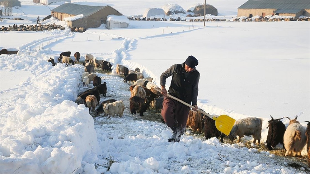 Hakkari’de karla kaplı köylerde günlük yaşam zorlu geçiyor
