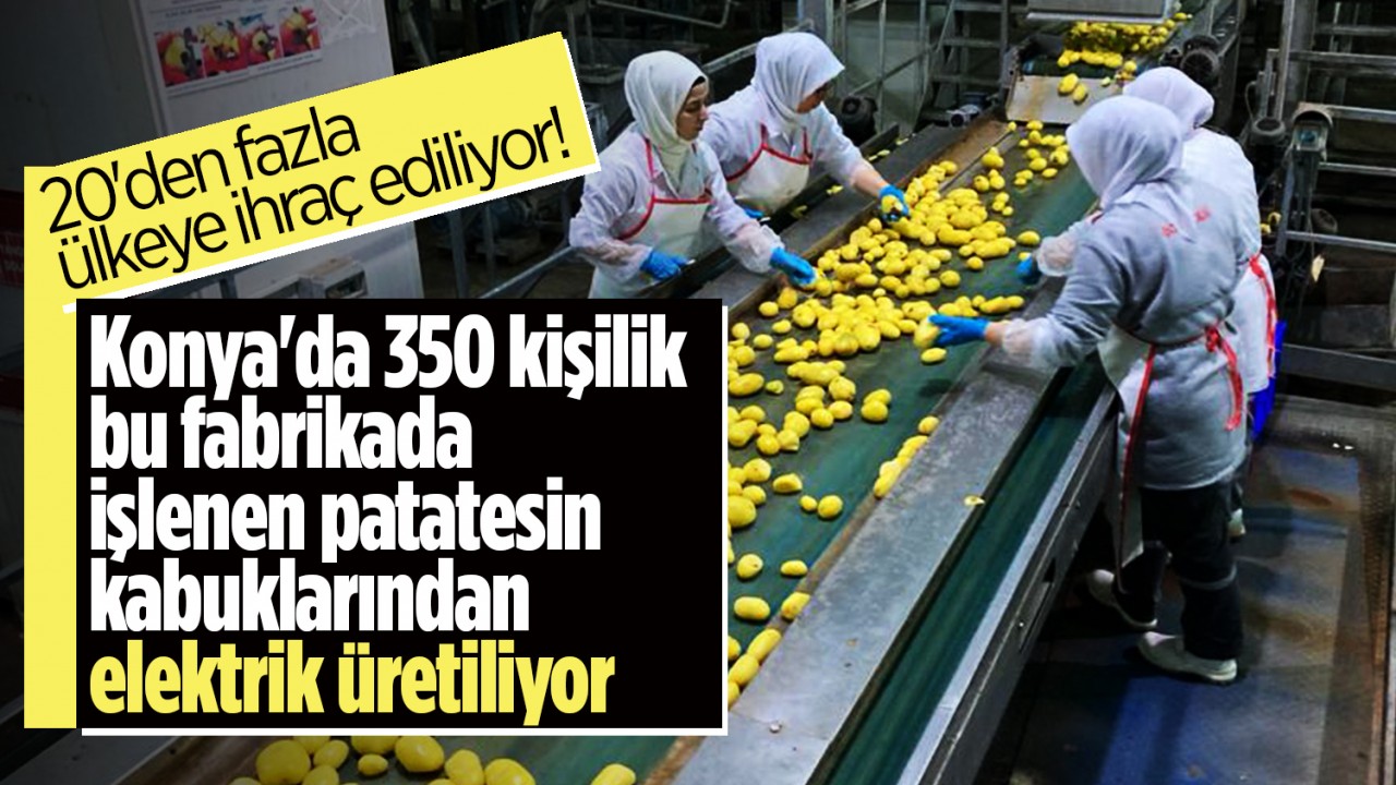 20’den fazla ülkeye ihraç ediliyor! Konya’da 350 kişilik bu fabrikada işlenen patatesin kabuklarından elektrik üretiliyor