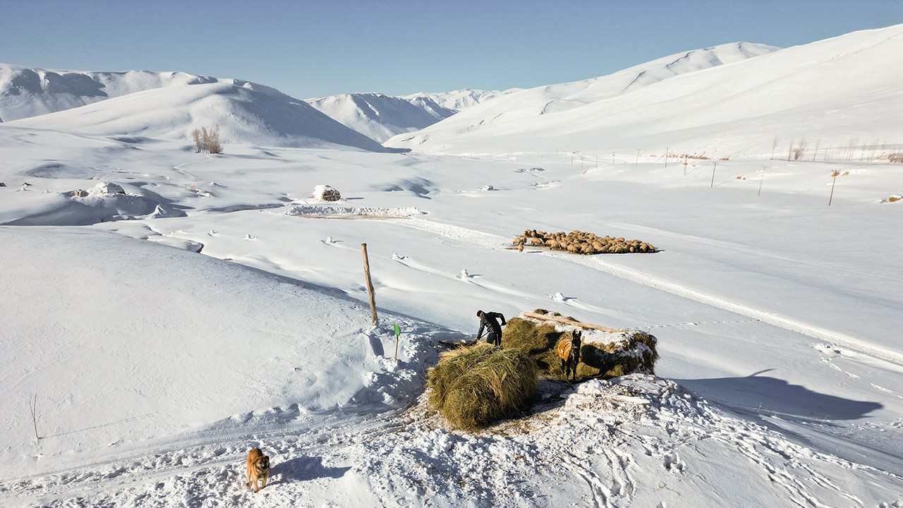 Van’da karla kaplı köylerdeki besiciler zor şartlarda hayvanlarını besliyor