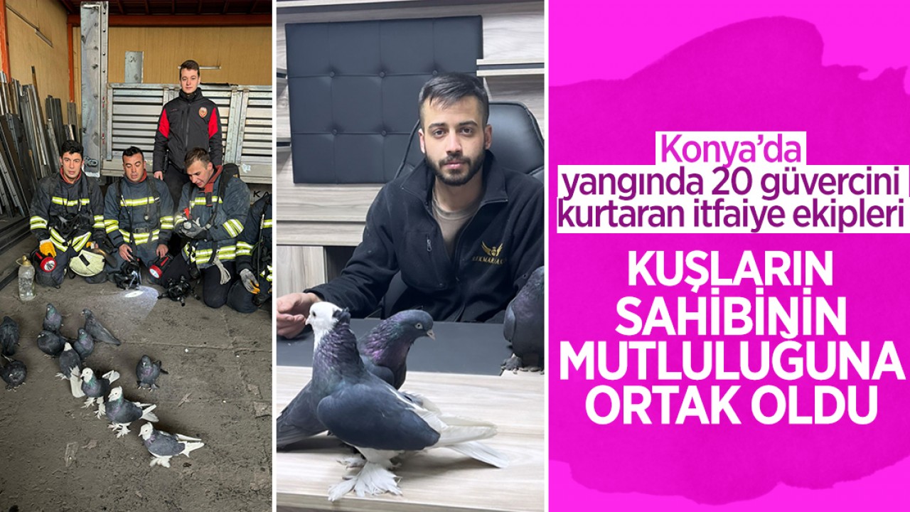 Konya'da iş yerinde çıkan yangında 20 güvercin kurtarıldı