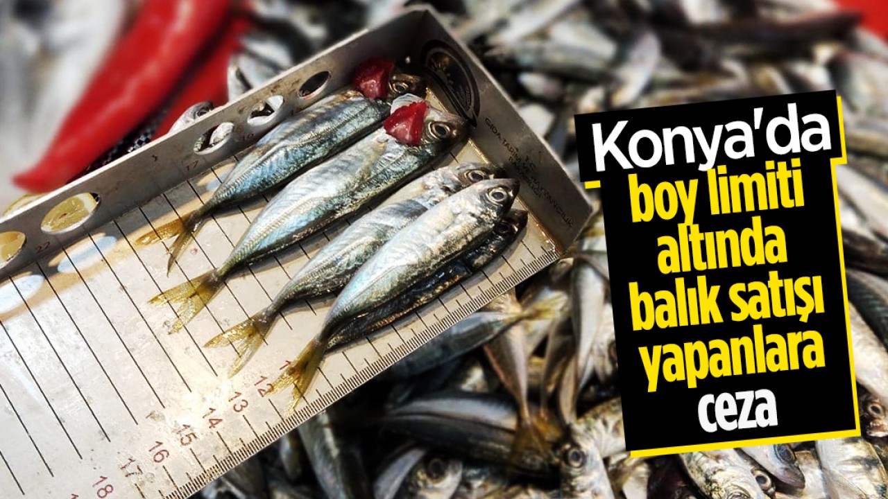 Beyşehir’de boy limiti altında balık satışı yapanlara ceza uygulanıyor