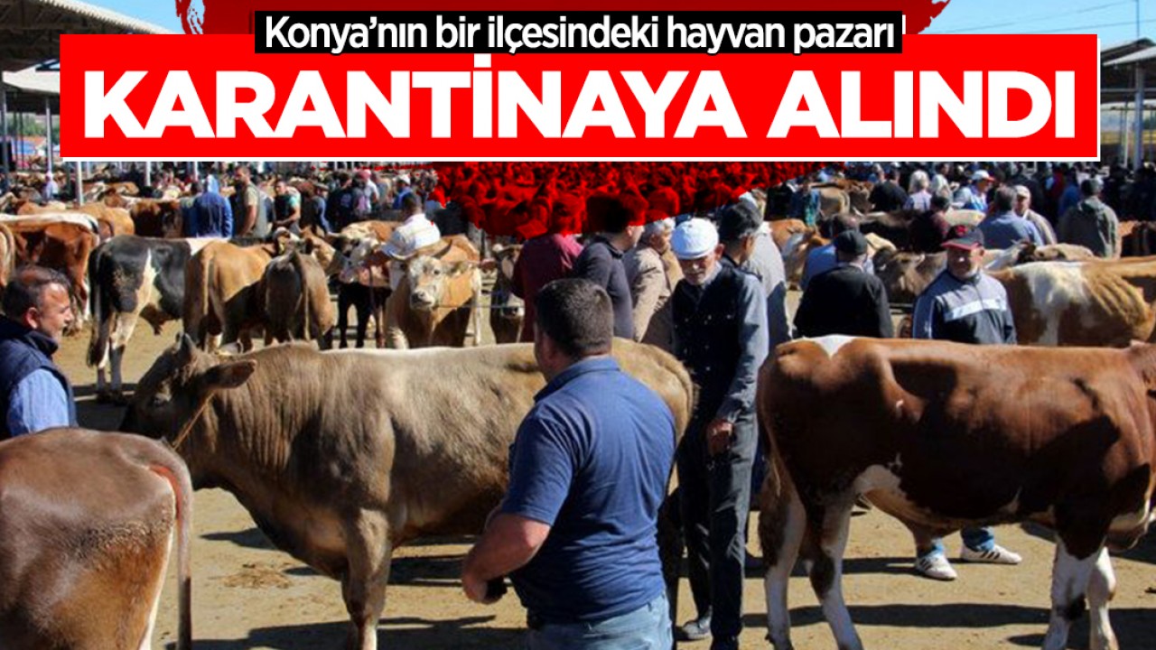 Konya'nın bir ilçesindeki hayvan pazarı karantinaya alındı!