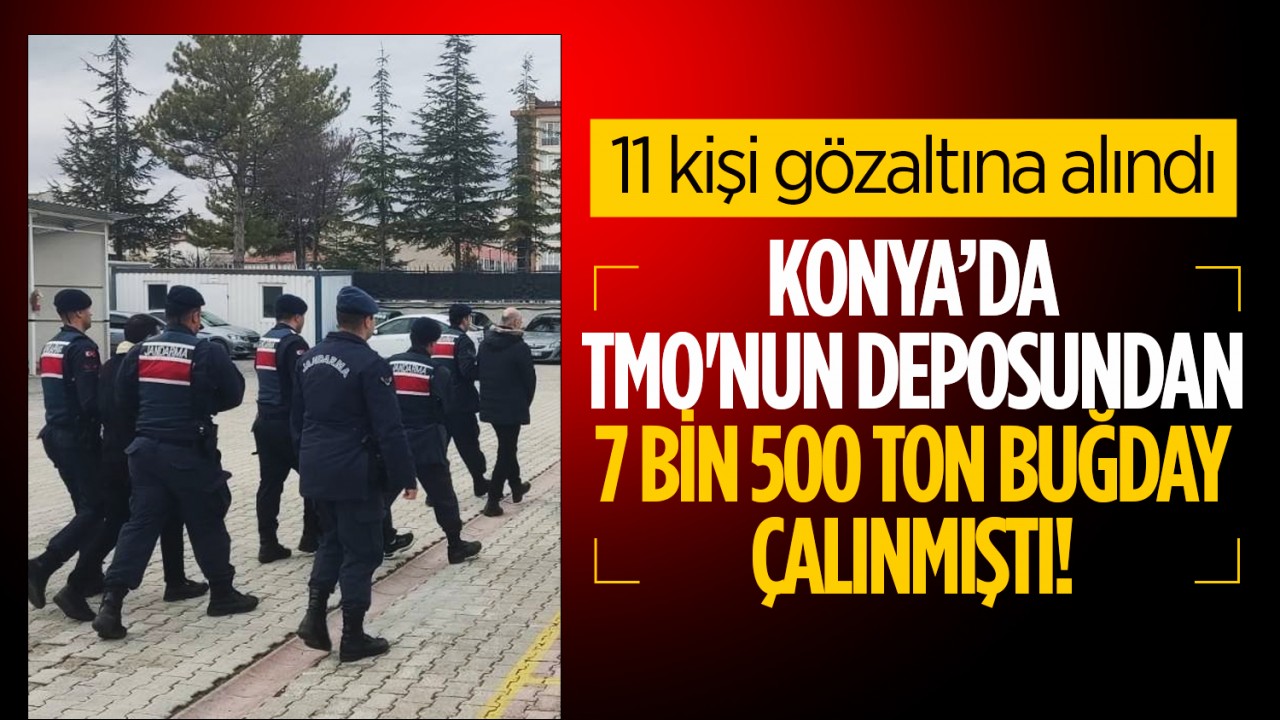 Konya’da TMO'nun deposundan 7 bin 500 ton buğday çalınmıştı: 11 kişi gözaltına alındı