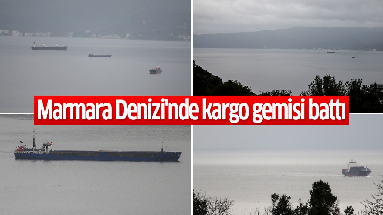 Marmara Denizi'nde kargo gemisi battı