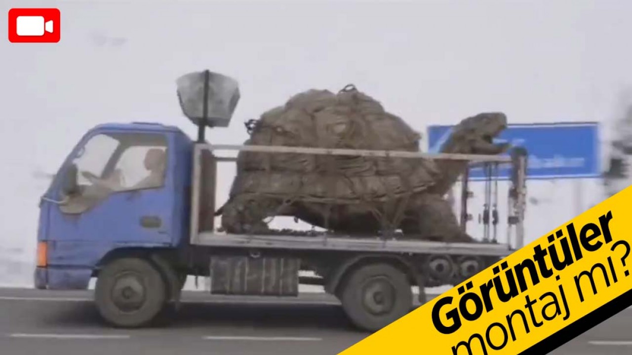 Bingöl'den 'Dev Kaplumbağa' Geçti mi? Dev Kaplumbağa'nın olduğu  görüntüler gerçek mi?