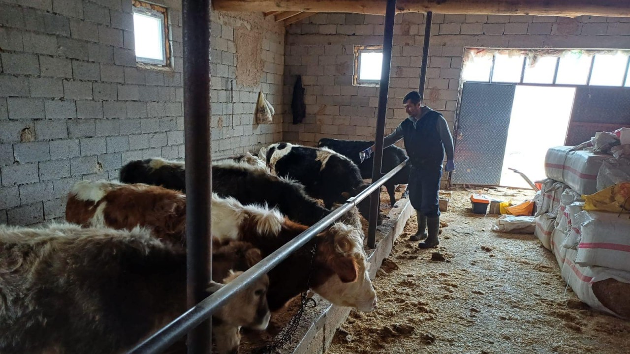 Beyşehir'de şap hastalığının önüne geçilmesine yönelik seferberlik