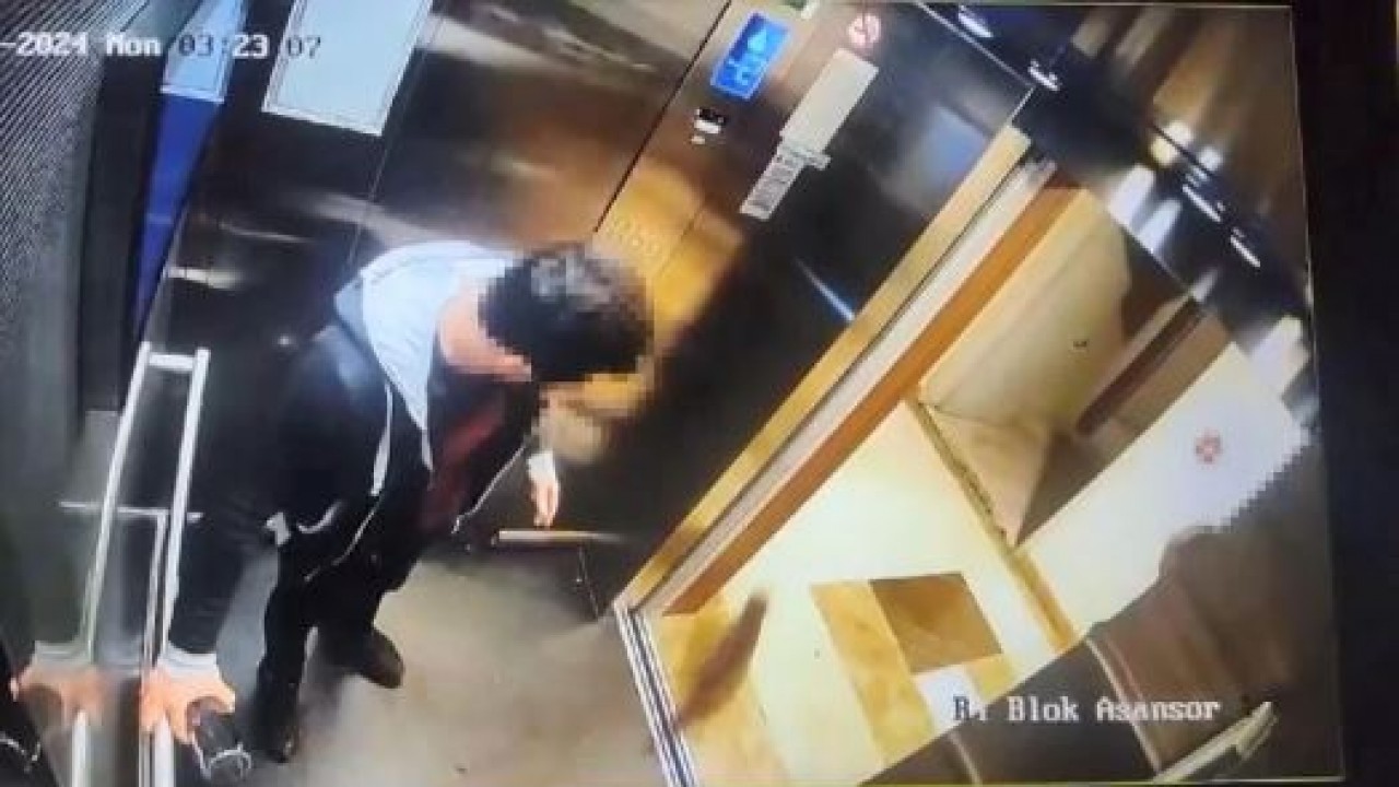 Kediyi tekmeleyerek öldüren İbrahim Keloğlan yeniden yargılanacak