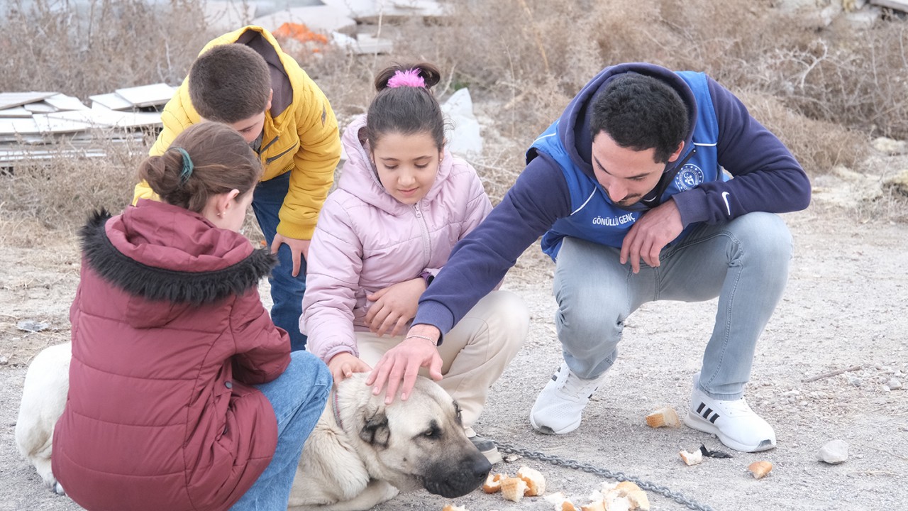 Karapınar’da sokak köpeği ve 8 yavrusuna gençler sahip çıktı