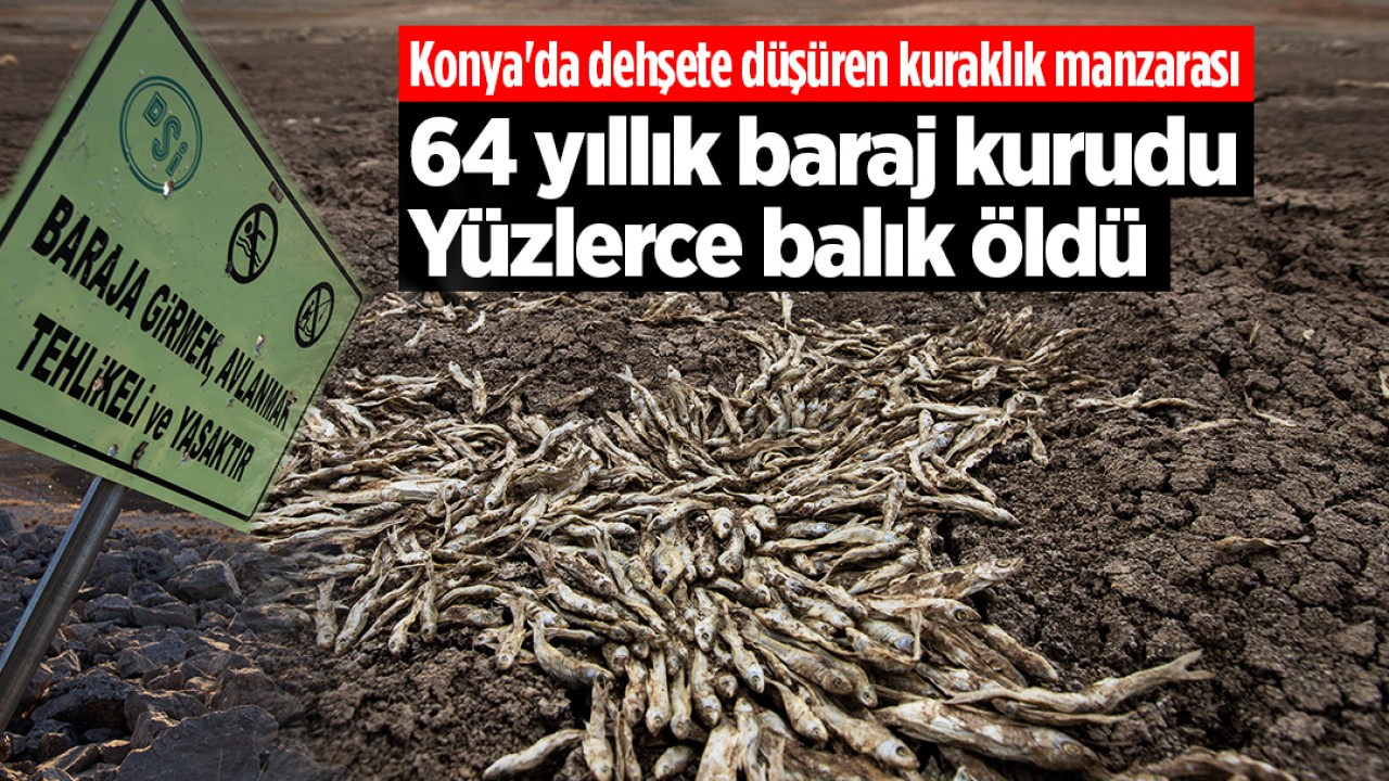 Konya’da dehşete düşüren kuraklık manzarası! 64 yıllık baraj kurudu: Yüzlerce balık öldü
