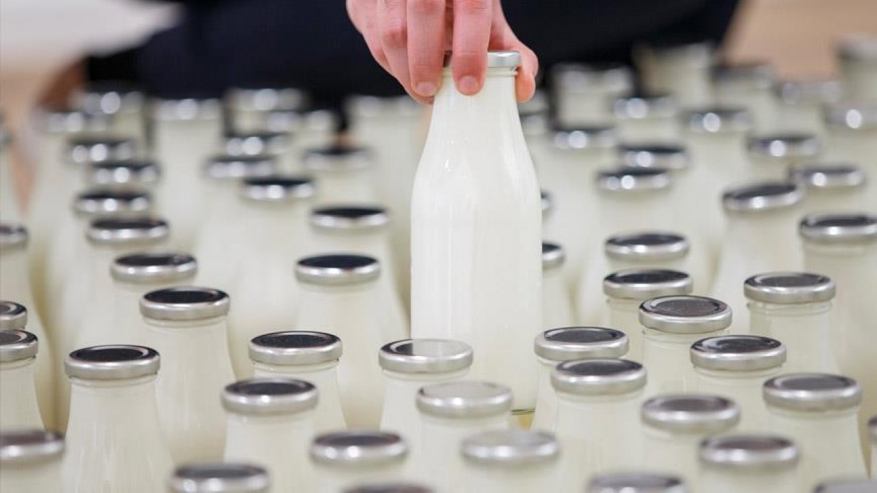 Süt üretimindeki artış sektörün ihracat beklentisini de artırdı
