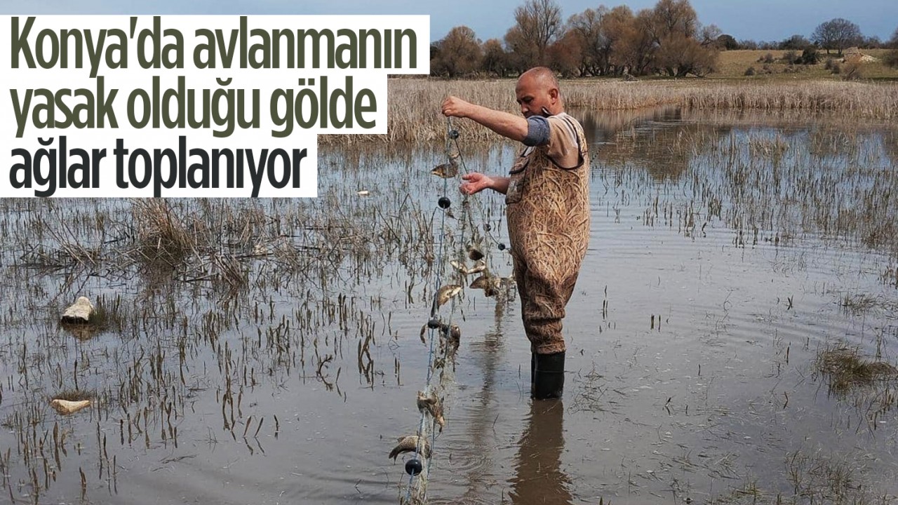 Konya'da avlanmanın yasak olduğu gölde ağlar toplanıyor