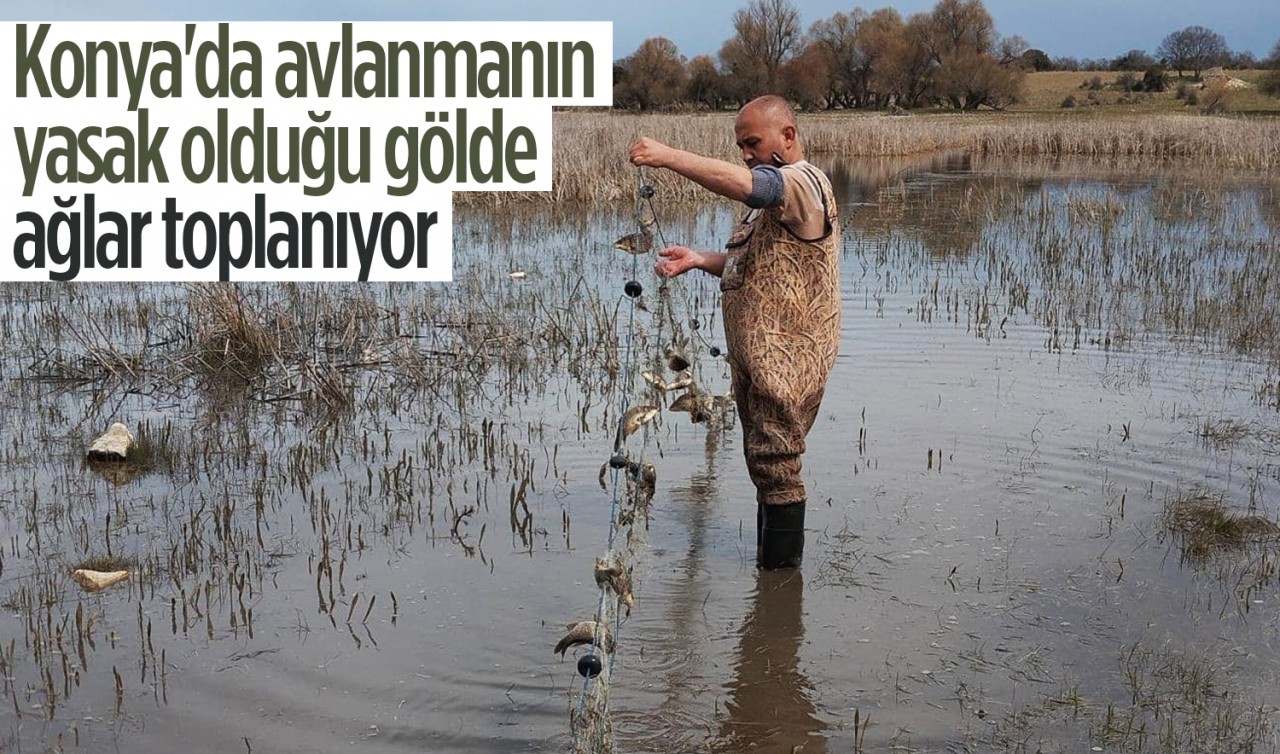 Konya'da avlanmanın yasak olduğu gölde ağlar toplanıyor