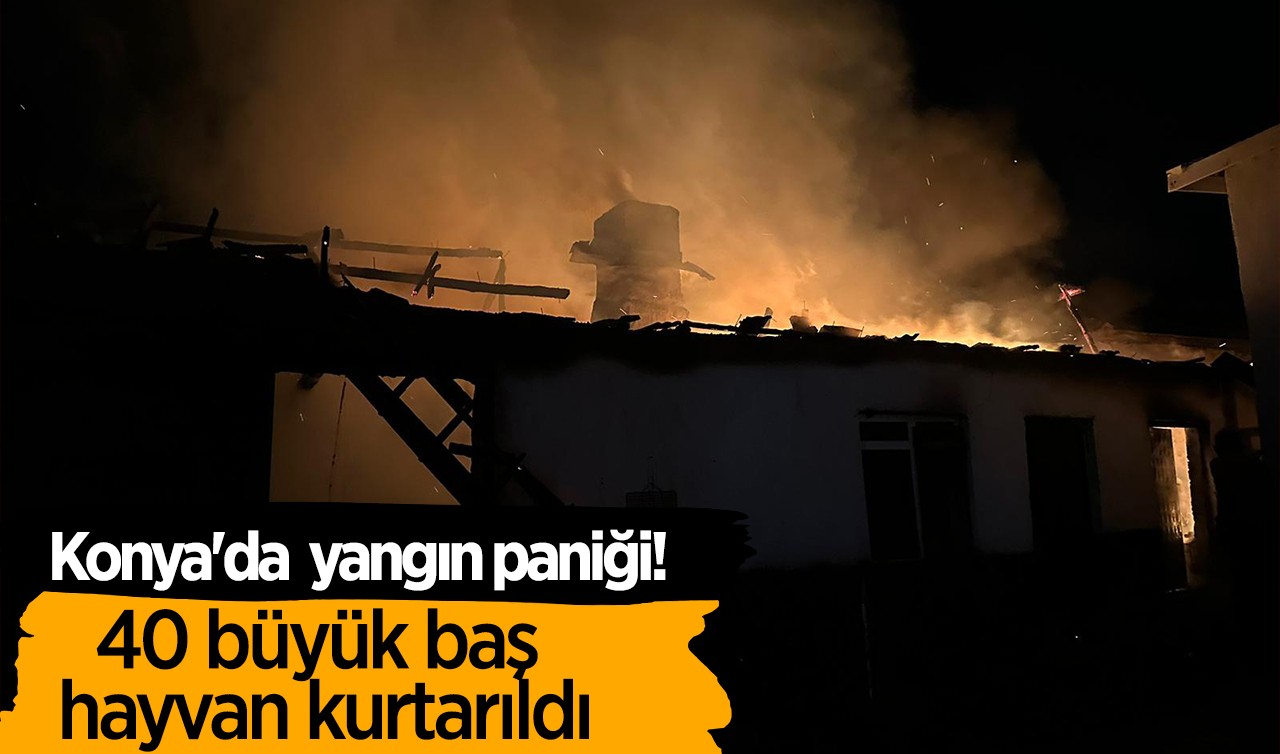 Konya'da yangın paniği! 40 büyük baş hayvan kurtarıldı