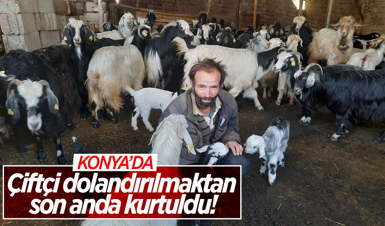 Konya'da çiftçi dolandırılmaktan son anda kurtuldu!
