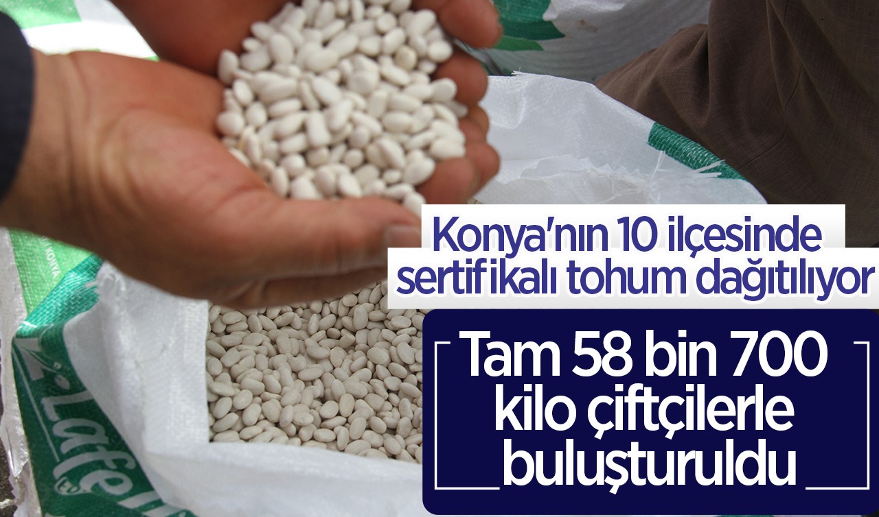 Konya'nın 10 ilçesinde  sertifikalı tohum dağıtılıyor: Tam 58 bin 700 kilo çiftçilerle buluşturuldu