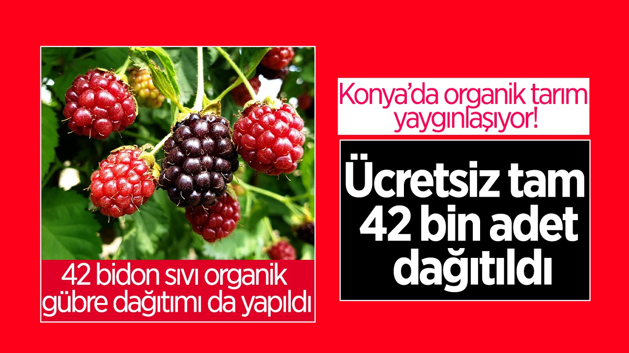 Konya'da organik tarım yaygınlaşıyor! Ücretsiz tam 42 bin adet dağıtıldı