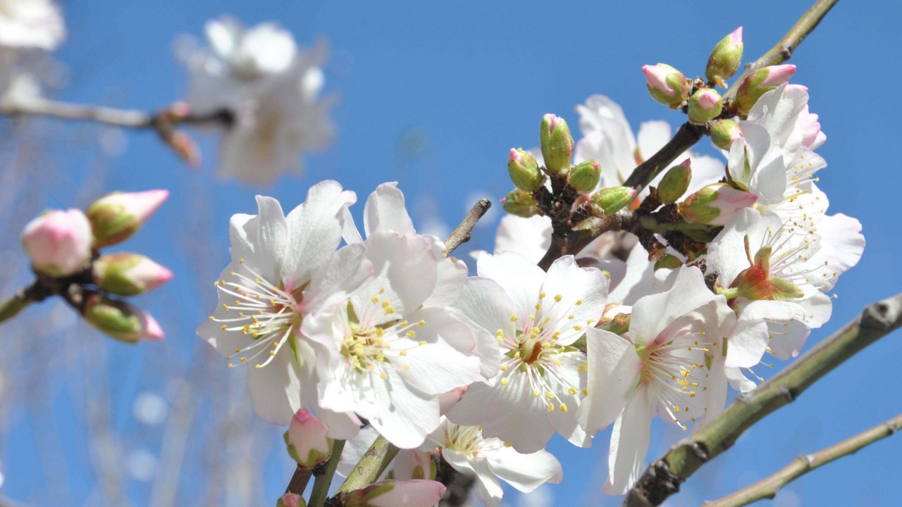 Uzmanlardan uyarı: O saatlerde dışarı sakın  çıkmayın!