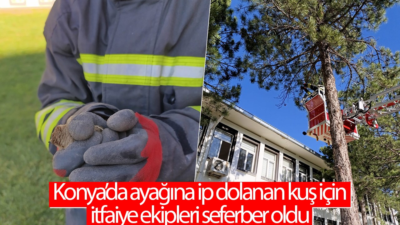 Konya'da ayağına ip dolanan kuşu itfaiye ekipleri kurtarmak için seferber oldu