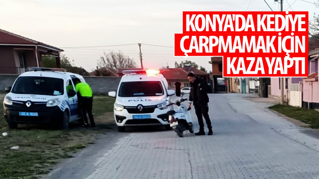 Konya'da kediye çarpmamak için kaza yaptı
