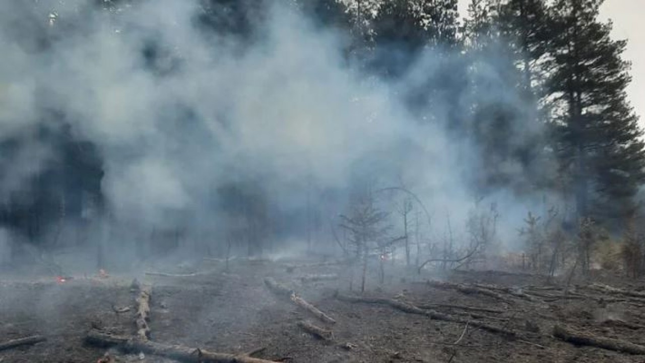 Enerji nakil hattından sıçrayan kıvılcım ormanda yangına neden oldu