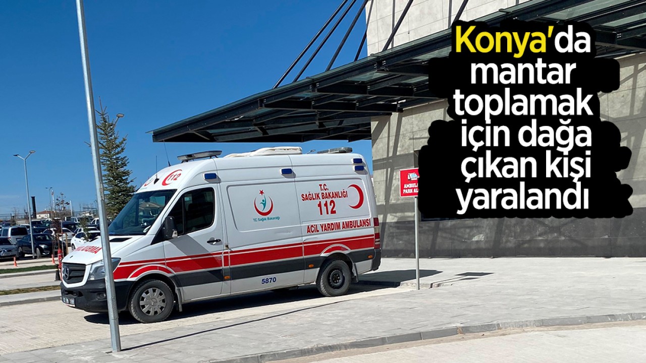 Konya'da mantar toplamak için dağa çıkan kişi yaralandı 