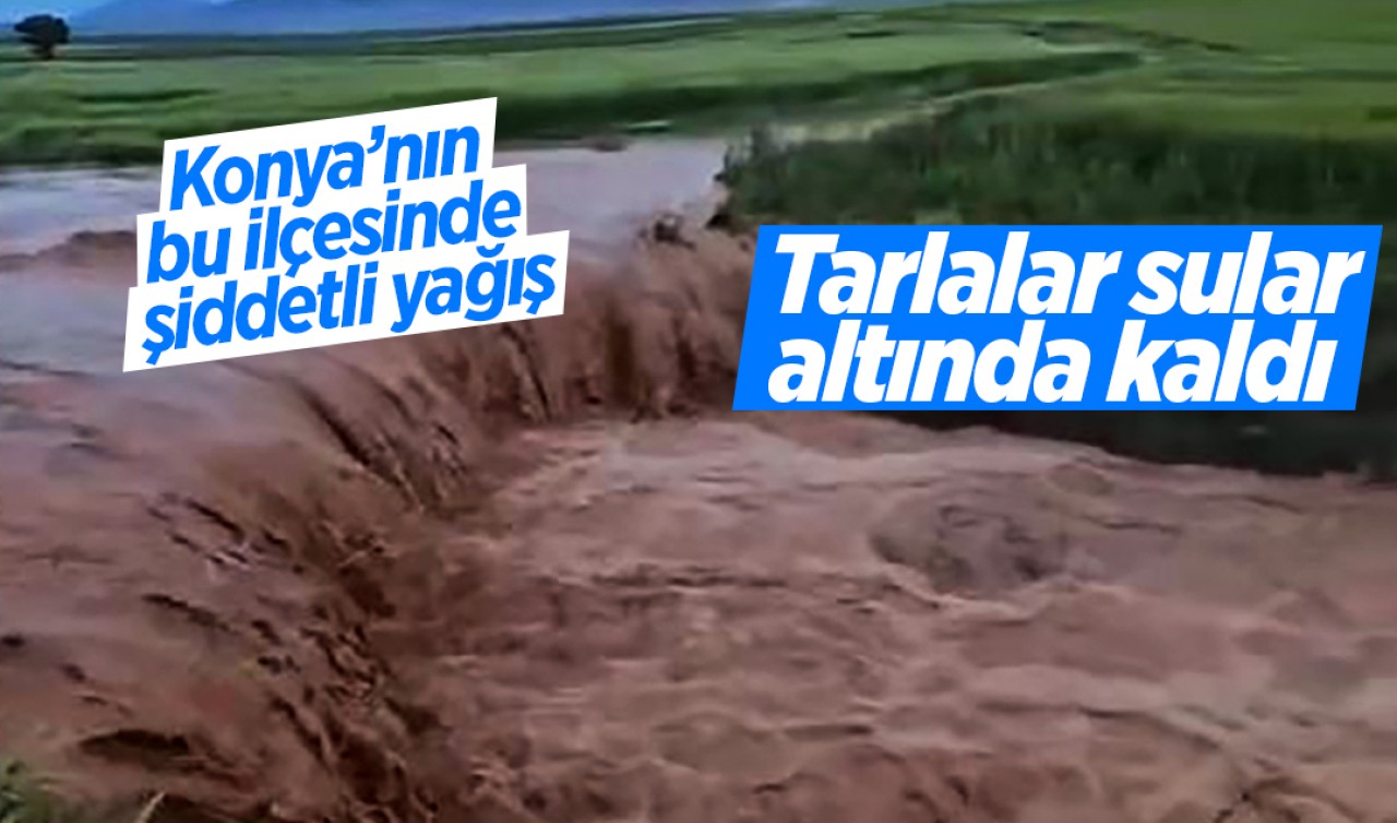 Konya’nın bu ilçesinde şiddetli yağış: Tarlalar sular altında kaldı 