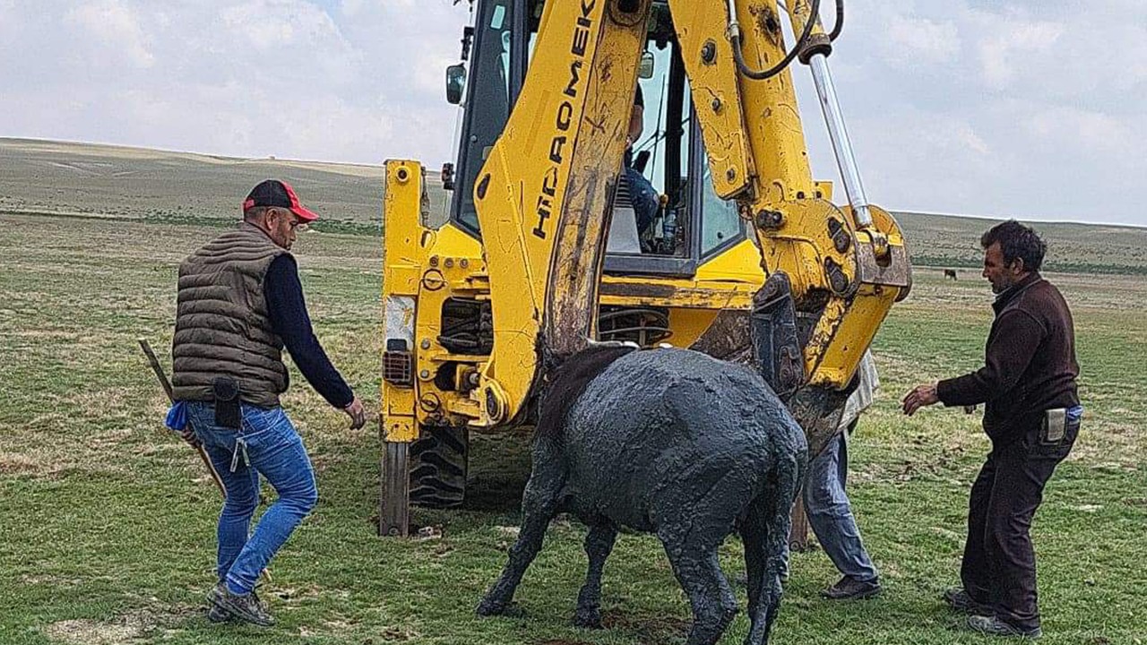 Konya’da çukura düşen inek ekipler tarafından kurtarıldı