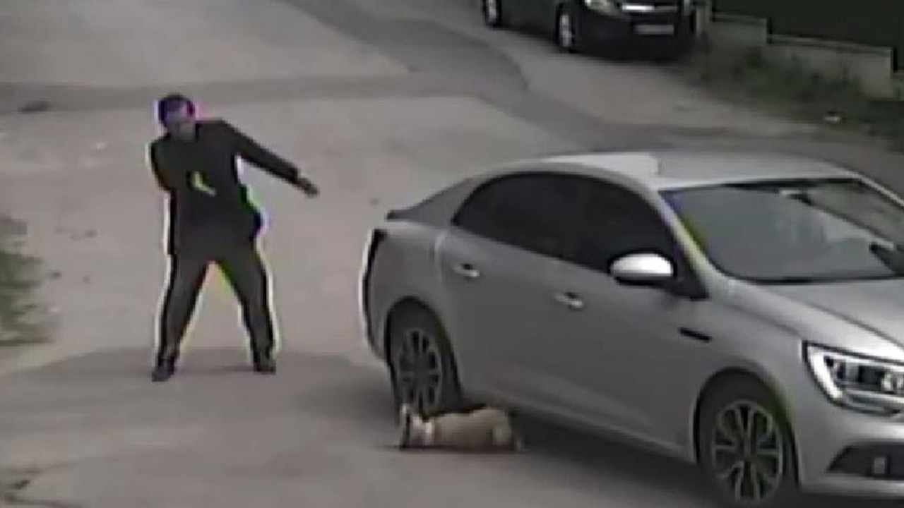 Otomobiliyle yolda yatan köpeği ezdi, aracını kontrol edip yoluna devam etti