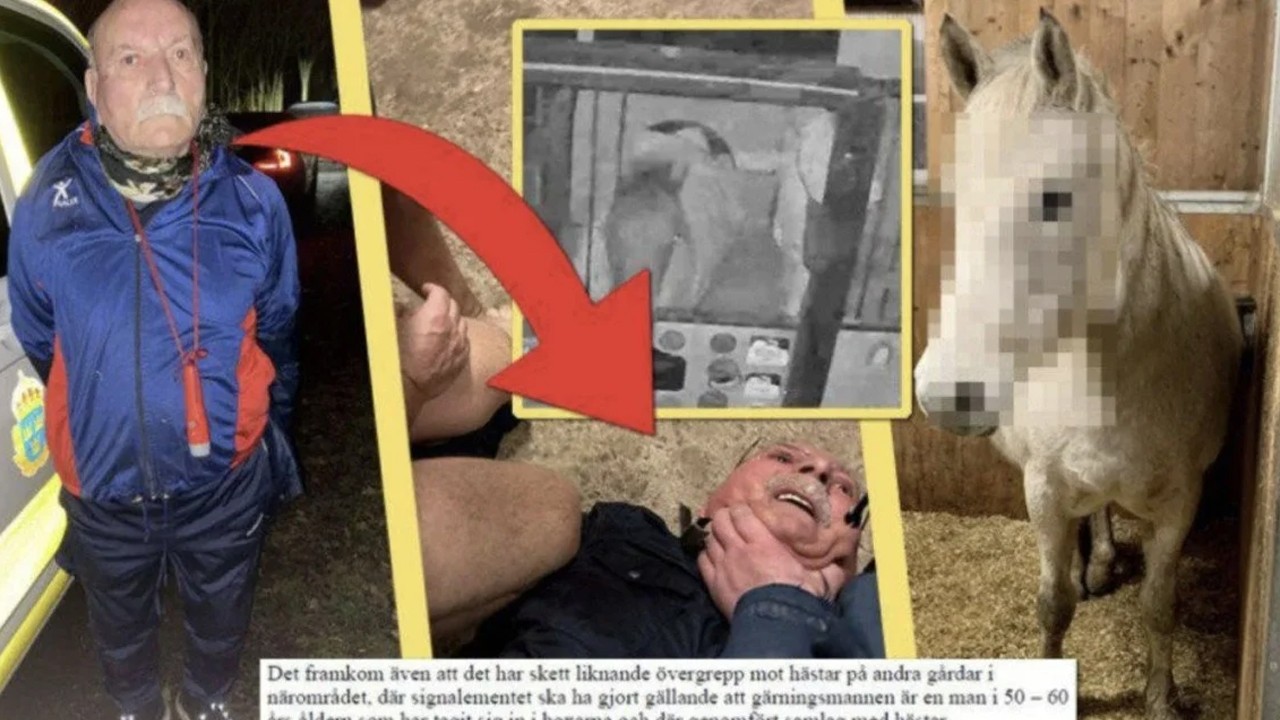 Ata tecavüz eden PKK'lı iğrenç eylem için ahıra defalarca gitmiş! Tutuklandı