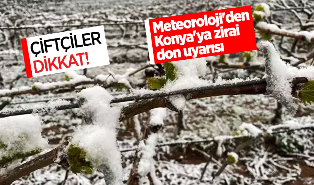 Çiftçiler dikkat! Meteoroloji'den Konya'ya zirai don uyarısı