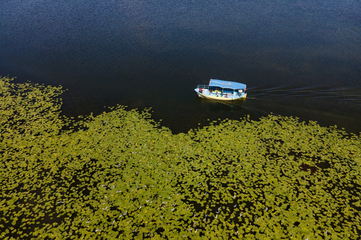 Beyşehir Gölü’nün ’’nilüfer bahçesi’’