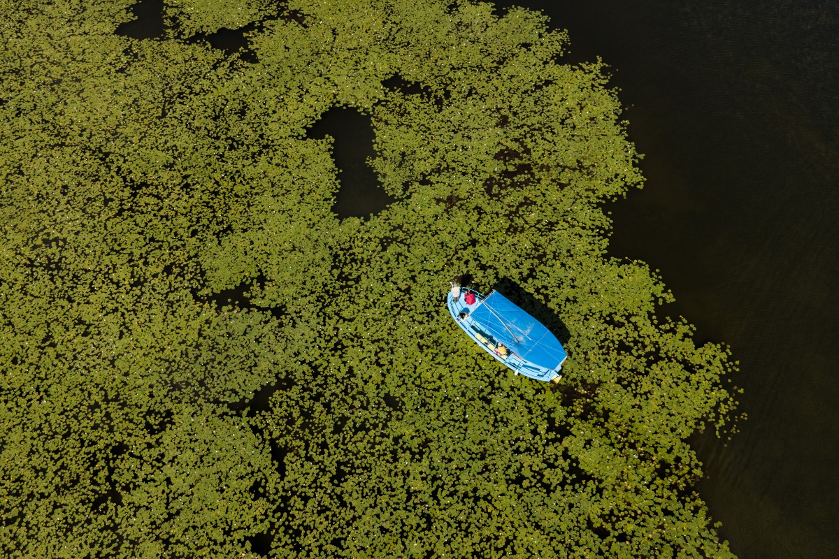 Beyşehir Gölü’nün ’’nilüfer bahçesi’’