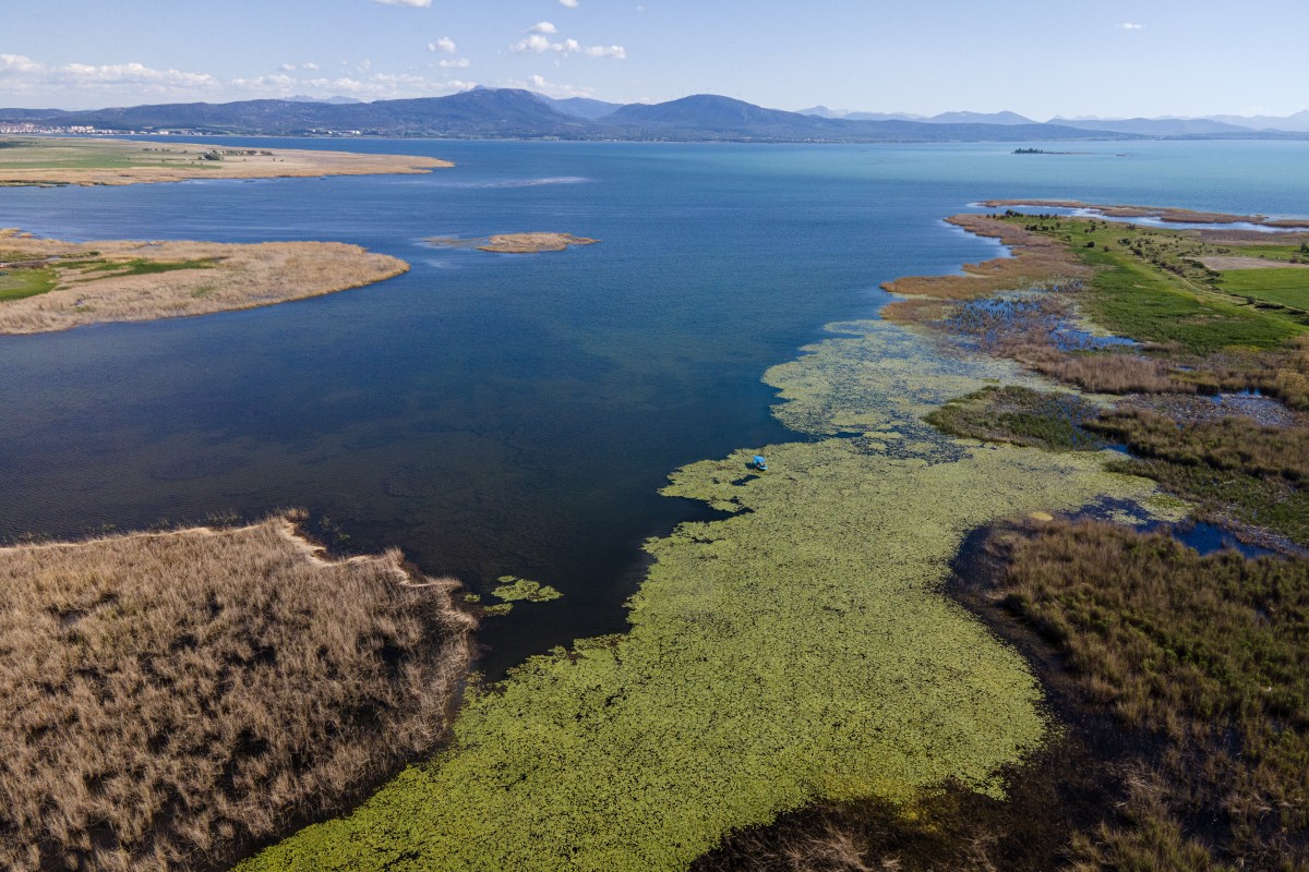 Beyşehir Gölü’nün ’’nilüfer bahçesi’’