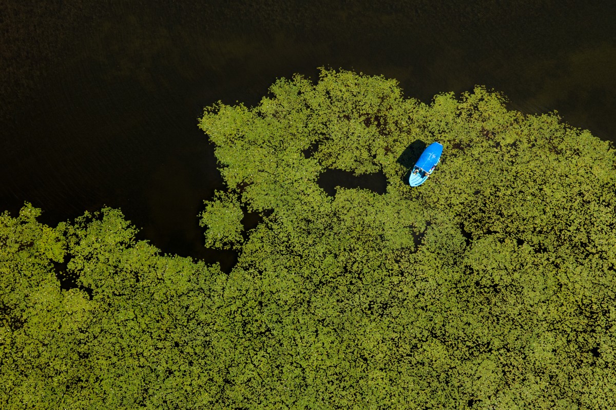 Beyşehir Gölü’nün ’’nilüfer bahçesi’’