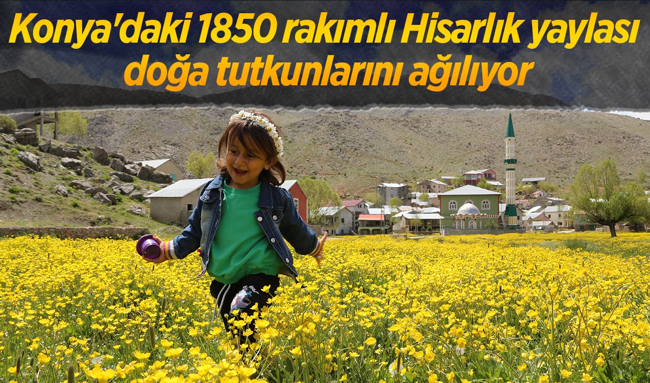 Konya'daki 1850 rakımlı Hisarlık yaylası doğa tutkunlarını ağılıyor