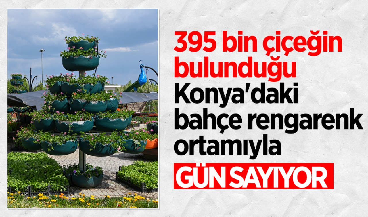 395 bin çiçeğin bulunduğu Konya'daki bahçe rengarenk ortamıyla gün sayıyor