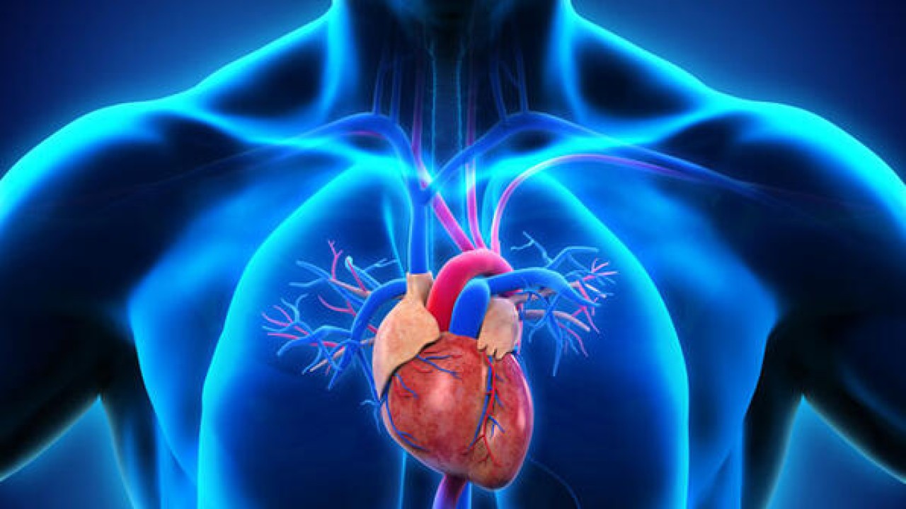 65 yaş üstü sigara içen tansiyonu olanlar dikkat! Belirti vermeden sinsice ilerliyor