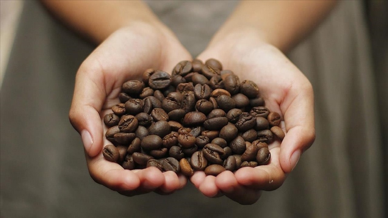 Günde üç fincan kahve tüketimi bakın sizi nelerden koruyor? 