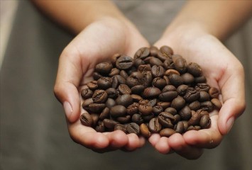 Günde üç fincan kahve tüketimi bakın sizi nelerden koruyor? 