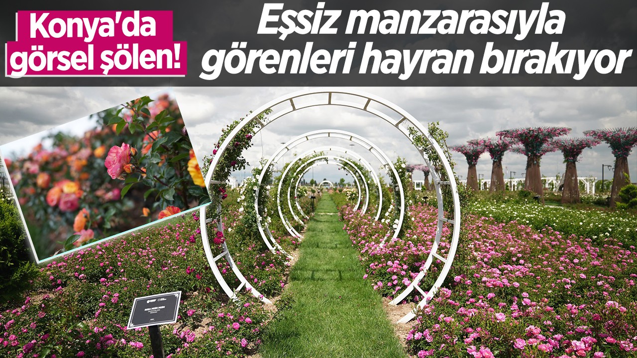Konya'da görsel şölen! Eşsiz manzarasıyla görenleri hayran bırakıyor