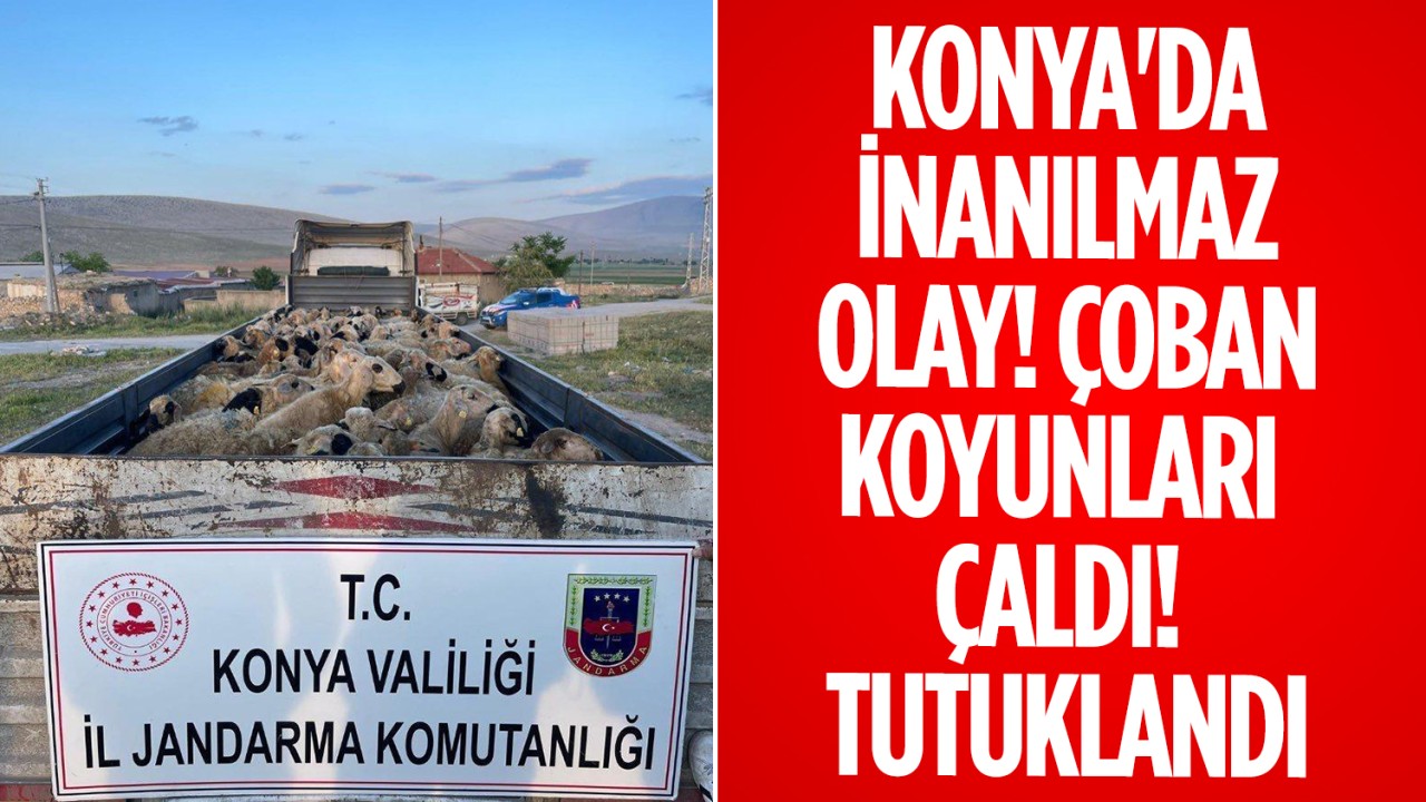 Konya'da inanılmaz olay! Çoban koyunları çaldı